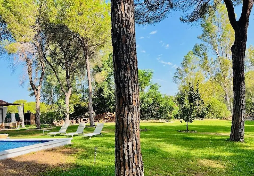 Villa Vida Libre Sevilla Feriehus