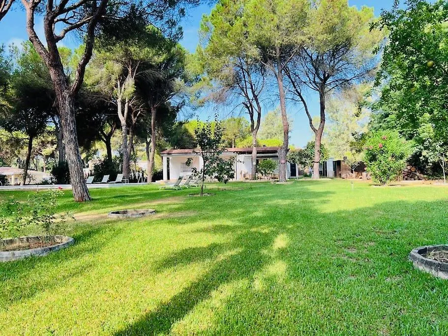 Villa Vida Libre Seville